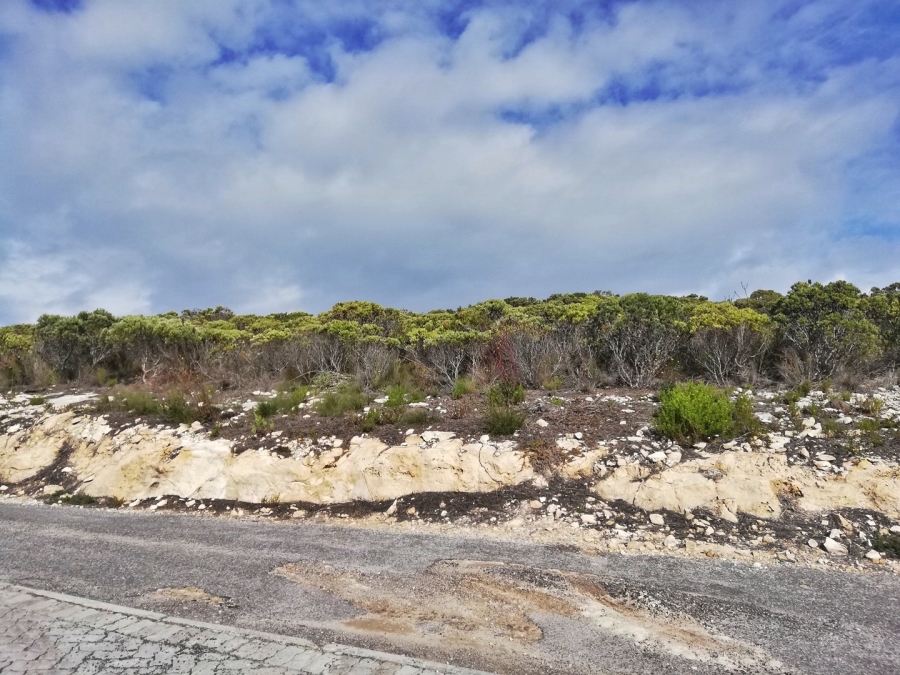 0 Bedroom Property for Sale in Agulhas Western Cape